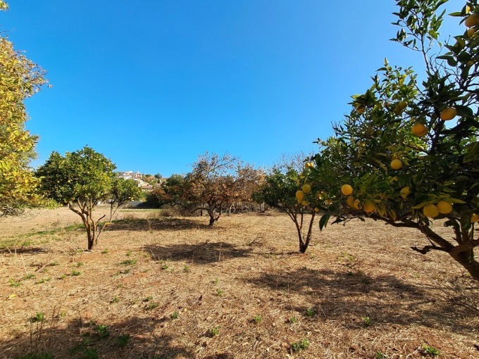 Prime Development Plot in Armenoi with Mountain Views, Orchard, and Beach Proximity - 0