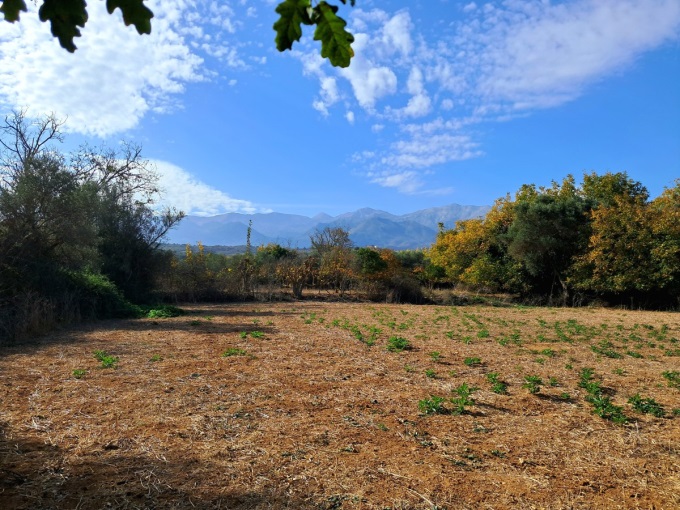 Prime Development Plot in Armenoi with Mountain Views, Orchard, and Beach Proximity - 18
