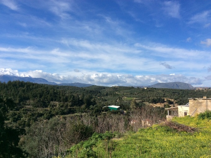 Land With Building Permit For Sale In Traditional Village - 11