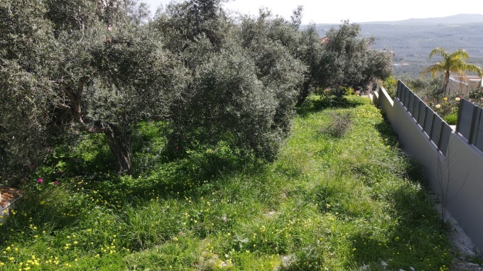 Plot for Sale in Marathokefala, Kolymvari With Sea Views - 4