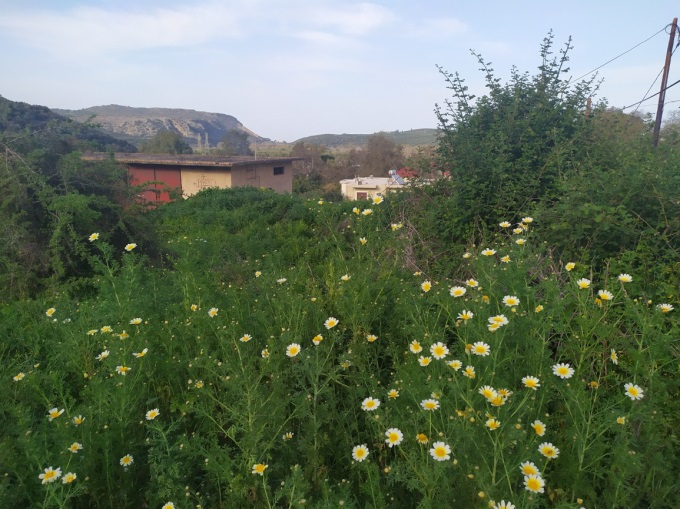 For Sale, Prime Plot in Stylos, Apokoronas with Mountain Views - 6