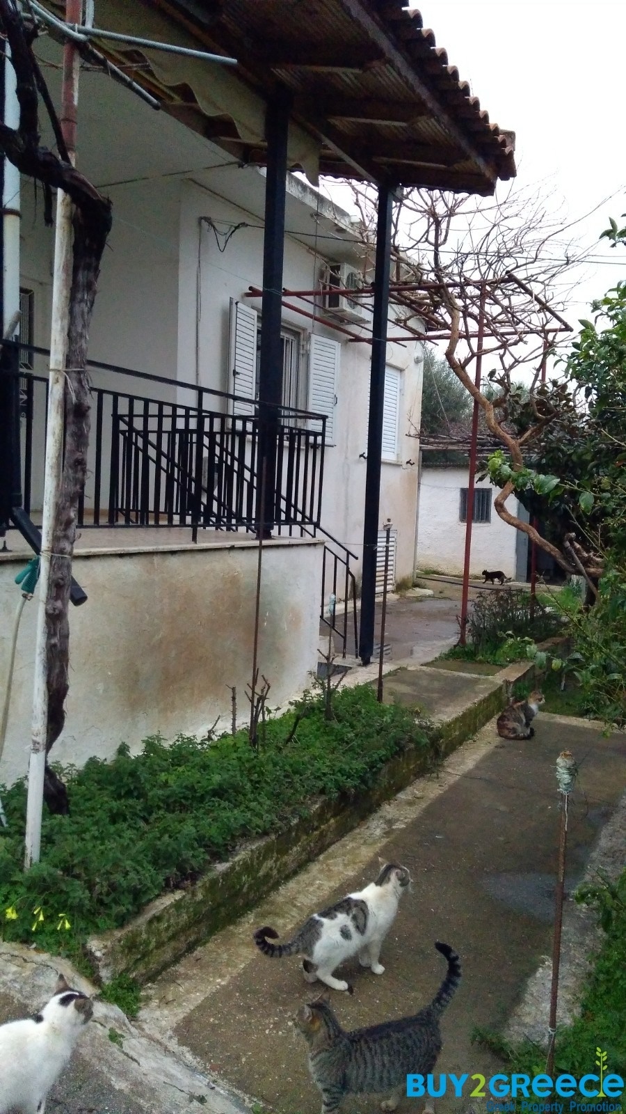 (For Sale) Land Plot || Ileias/Zacharo - 8.000 Sq.m, 250.000€