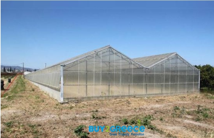 1611266 - Plot of Land For sale, Velo, 8.700 sq.m., €280.000