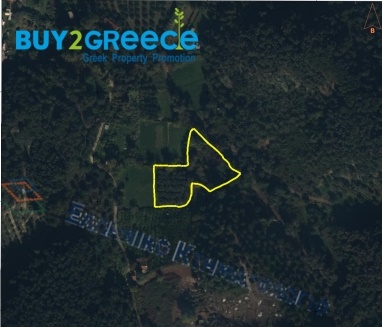 1611939 - Plot of Land For sale, Corfu, 4.212,52 sq.m., €38.000