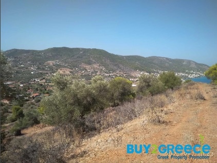 1612011 - Parcel For sale, Salamina, 220 sq.m., €22.000