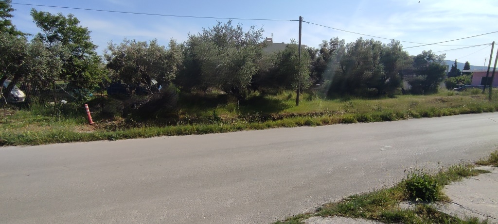 (For Sale) Land Plot || Evoia/Karystos - 303 Sq.m, 40.000€