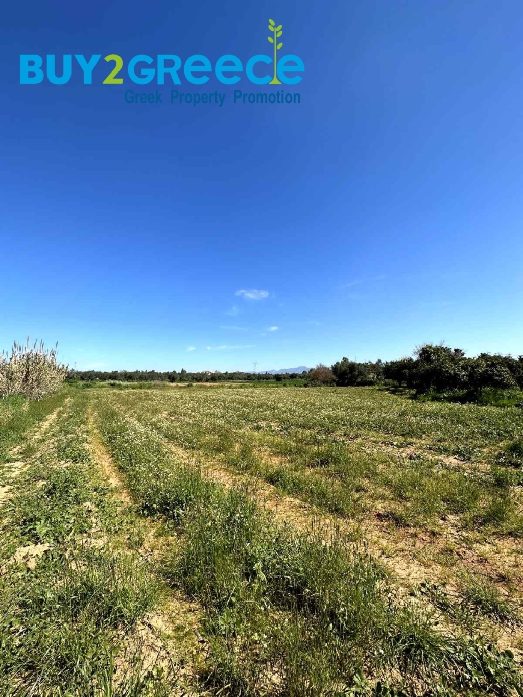 (For Sale) Land Plot || Messinia/Messini - 17.371 Sq.m, 880.000€
