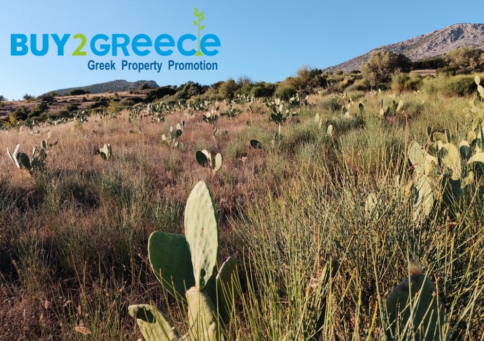 1612716 - Parcel For sale, Trizina, 20.000 sq.m., €99.000