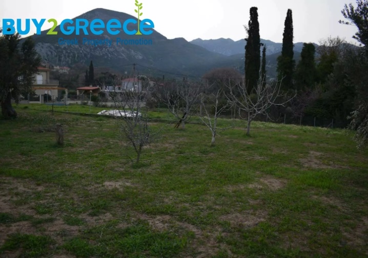 (For Sale) Land || Evoia/Kymi - 1.500 Sq.m, 100.000€