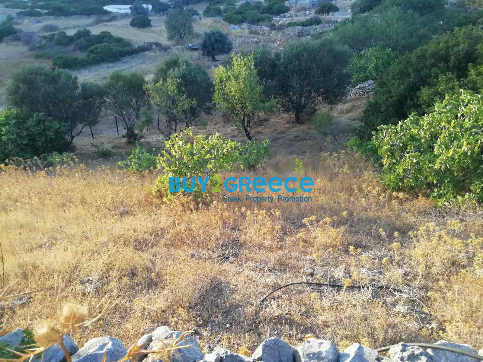 1613026 - Land plot For sale, Agathonisi, 954 sq.m., €50.000