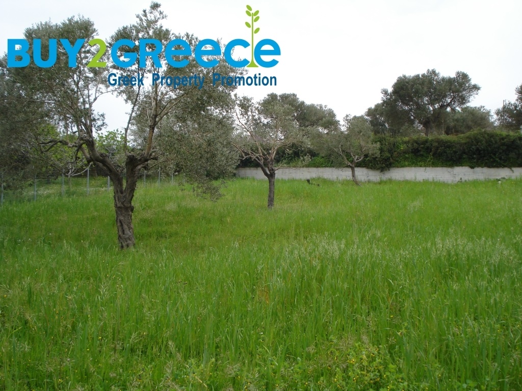 1613427 - Land plot For sale, Kimi, 1.041 sq.m., €35.000