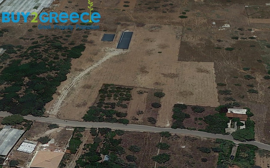 (For Sale) Land Agricultural Land  || East Attica/Koropi - 13.600 Sq.m, 650.000€