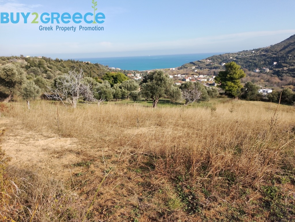(For Sale) Land Agricultural Land  || Evoia/Kymi - 2.270 Sq.m, 47.000€