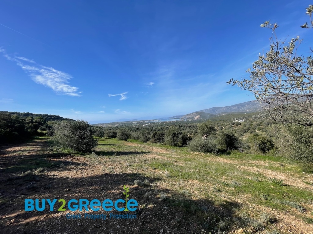 (For Sale) Land Agricultural Land  || Argolida/Kranidi - 9.082 Sq.m, 195.000€