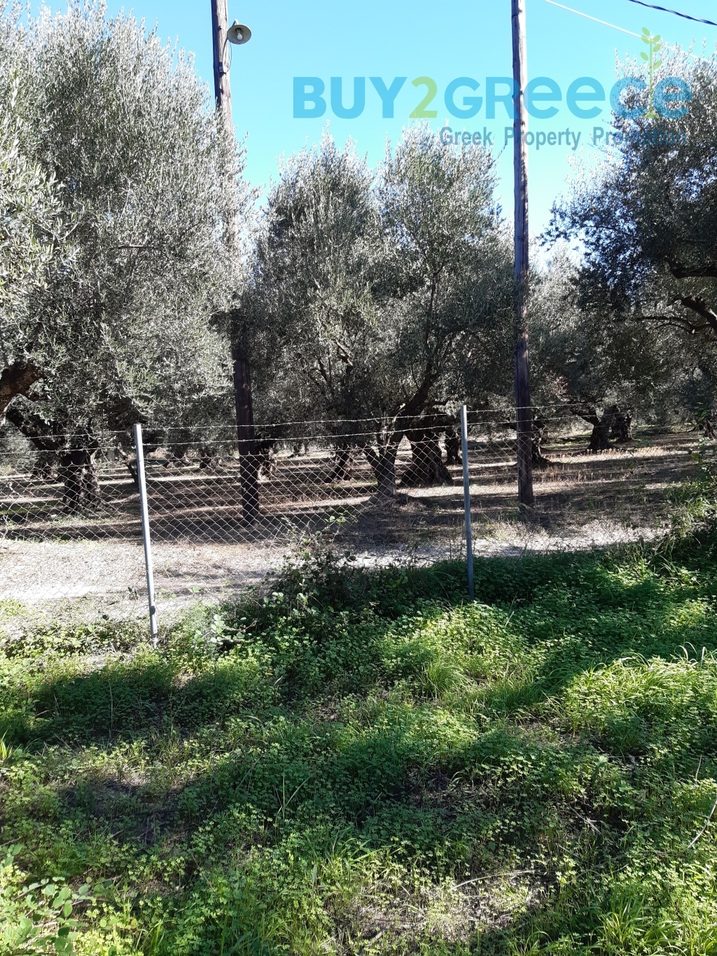(For Sale) Land Plot || Ileias/Zacharo - 7.214 Sq.m, 85.000€