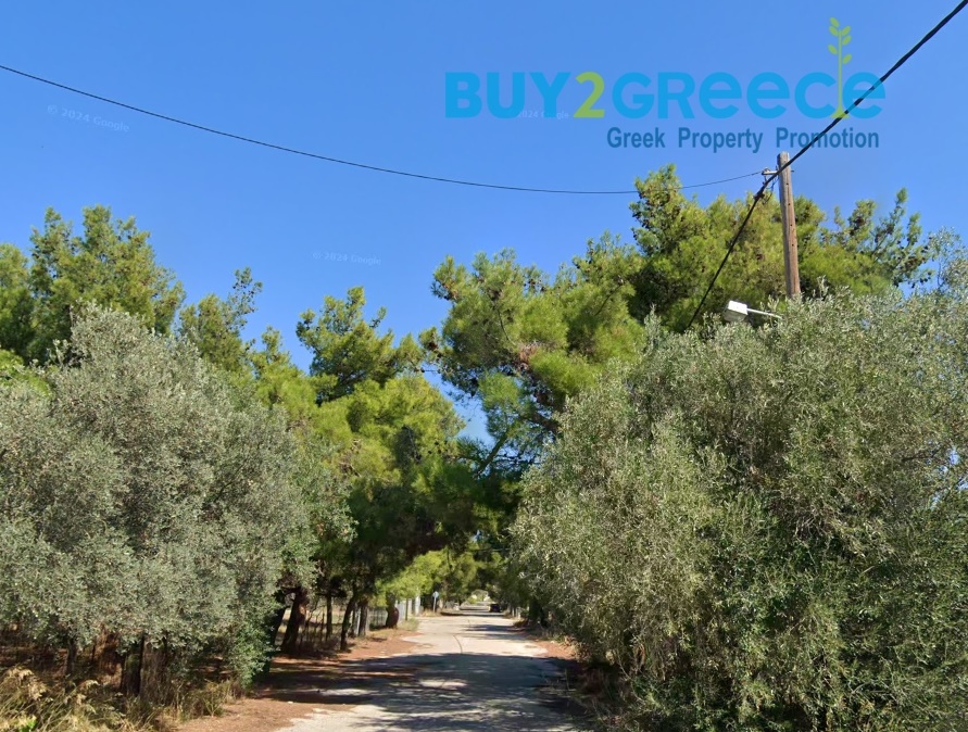 (For Sale) Land Agricultural Land  || East Attica/Acharnes (Menidi) - 323 Sq.m, 50.000€