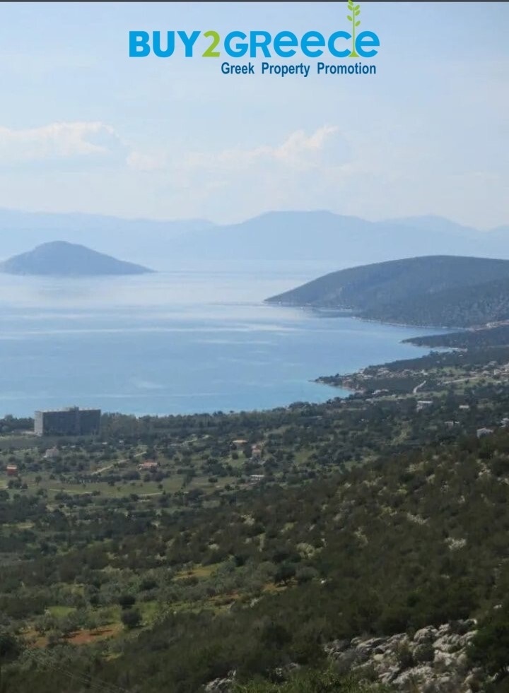 (For Sale) Land Plot || Argolida/Kranidi - 5.500 Sq.m, 138.000€