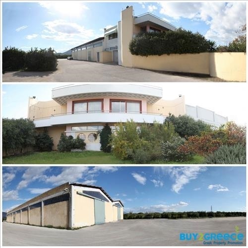 (For Sale) Commercial Other properties || Argolida/Argos - 1.600 Sq.m, 850.000€