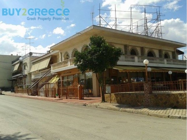 1615149 - Shop For sale, Thiva, 700 sq.m., €700.000