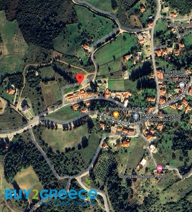 (For Sale) Land Agricultural Land  || Magnisia/Pilio-Afetes - 304 Sq.m, 29.000€