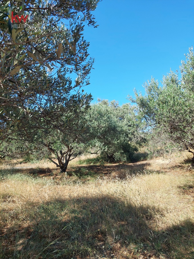 Image 18