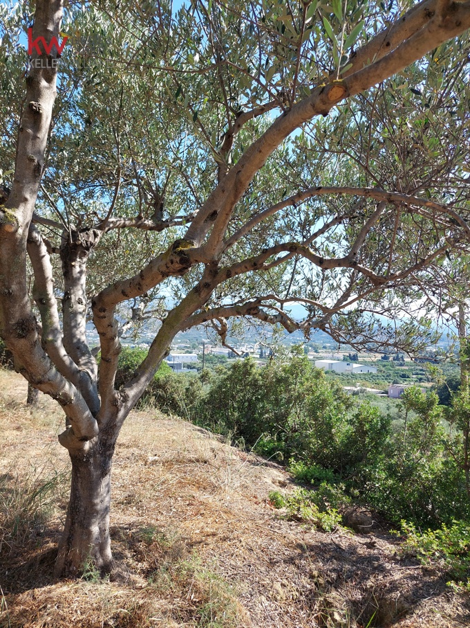 Image 21