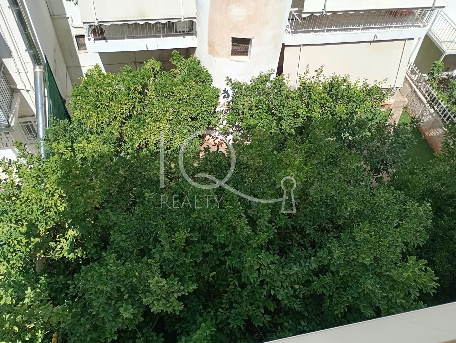 Realty IQ