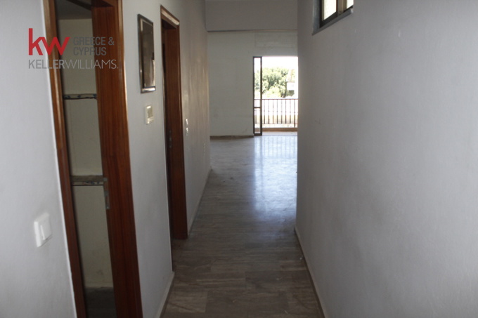 Image 13