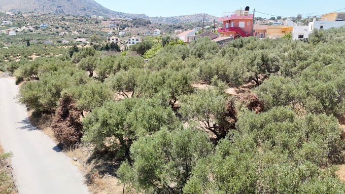For Sale: Prime Plot in Plaka – Sea Views & Central Location - 14