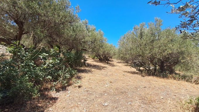 For Sale: Prime Plot in Plaka – Sea Views & Central Location - 6