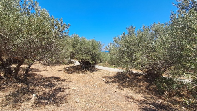 For Sale: Prime Plot in Plaka – Sea Views & Central Location - 9