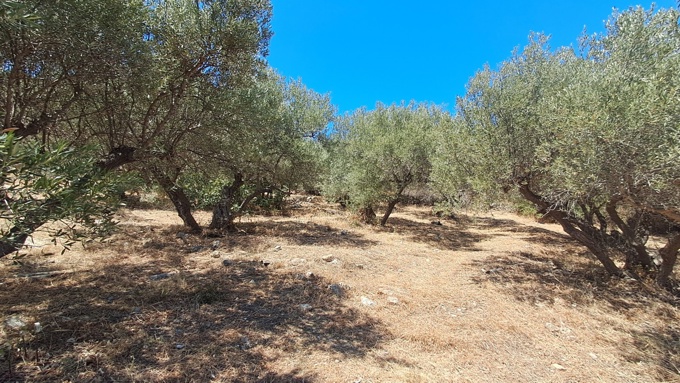 For Sale: Prime Plot in Plaka – Sea Views & Central Location - 8