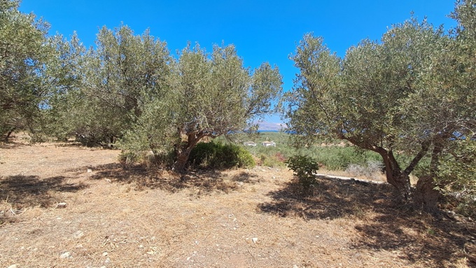 For Sale: Prime Plot in Plaka – Sea Views & Central Location - 2