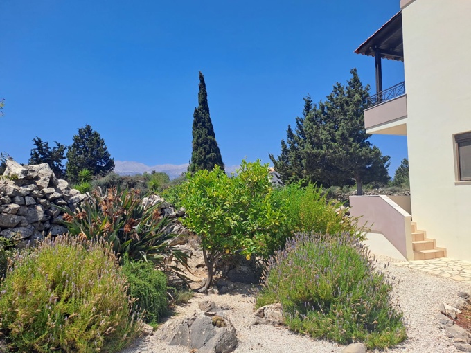 Spacious 3-Bedroom Villa with Basement, Large Private Plot & Stunning Views - 28
