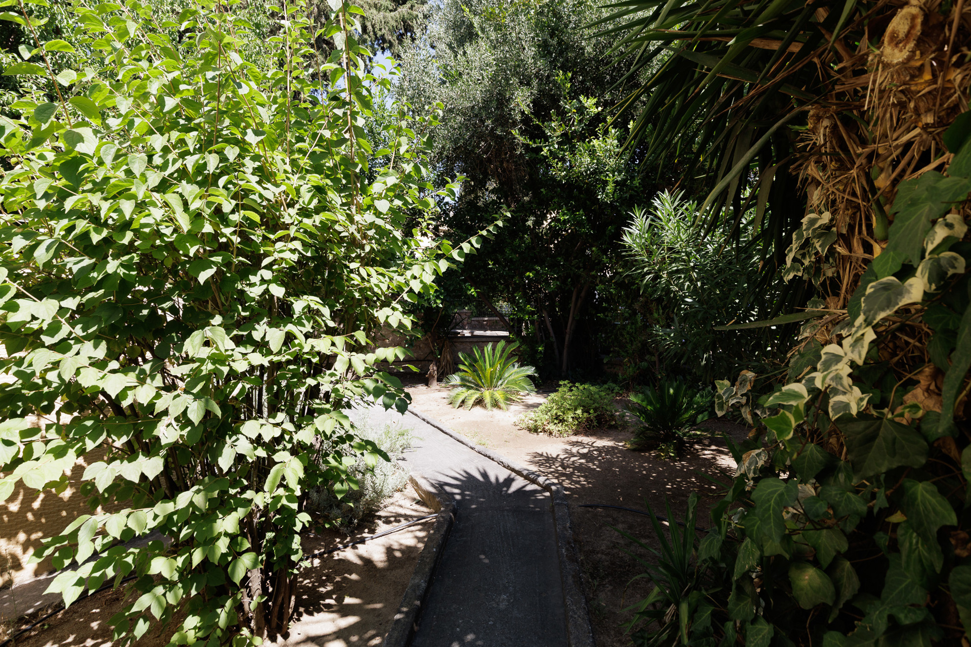 von_poll_real_estate_property_1803446_image_23