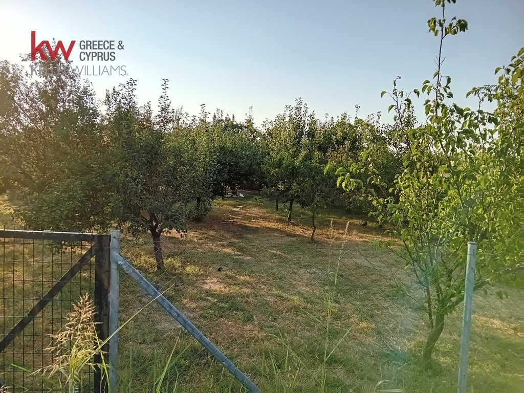 1812002 - Αγροτεμάχιο Προς Πώληση, Καρδίτσα, 11.221 τ.μ., €50.000