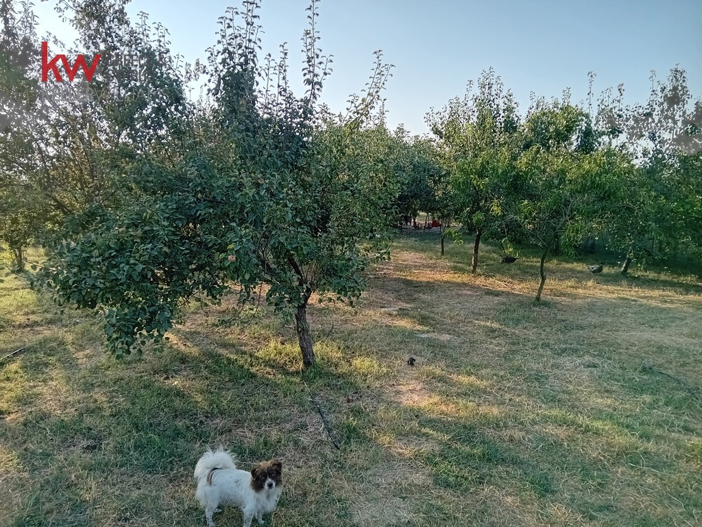 1812002 - Αγροτεμάχιο Προς Πώληση, Καρδίτσα, 11.221 τ.μ., €50.000