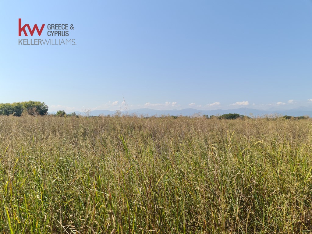 1813568 - Αγροτεμάχιο Προς Πώληση, Κάμπος, 30.750 τ.μ., €44.000