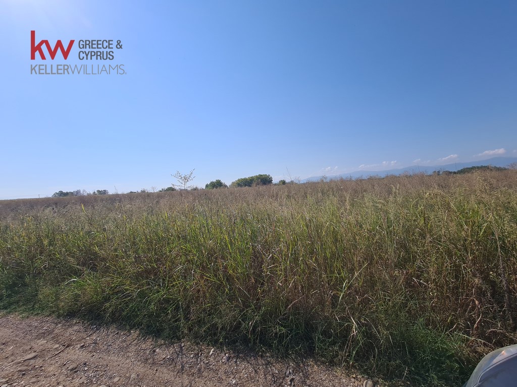 1813568 - Αγροτεμάχιο Προς Πώληση, Κάμπος, 30.750 τ.μ., €44.000