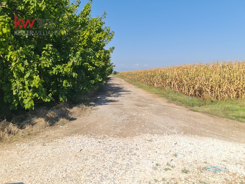 1813568 - Αγροτεμάχιο Προς Πώληση, Κάμπος, 30.750 τ.μ., €44.000