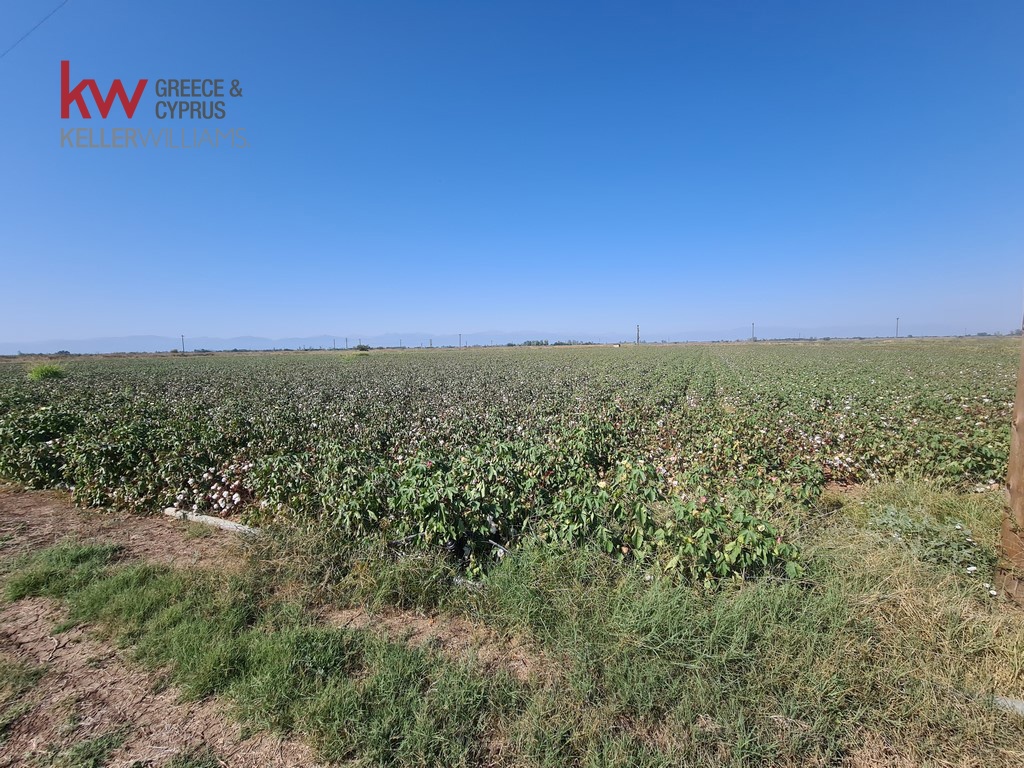 1828161 - Αγροτεμάχιο Προς Πώληση, Φύλλο, 17.400 τ.μ., €36.000