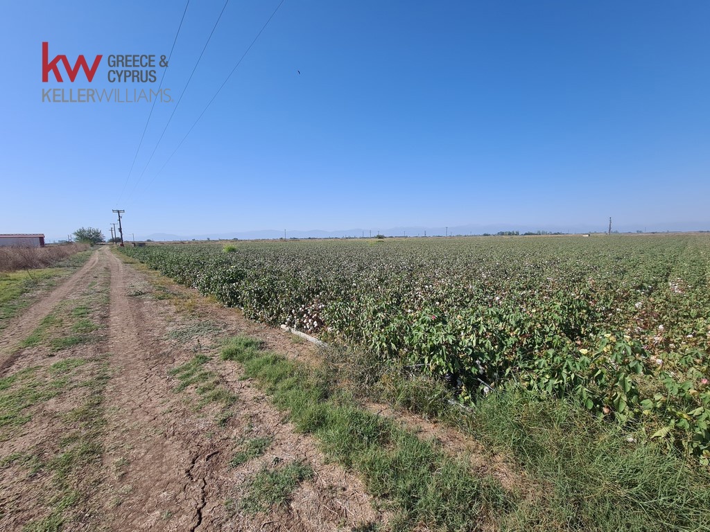 1828161 - Αγροτεμάχιο Προς Πώληση, Φύλλο, 17.400 τ.μ., €36.000