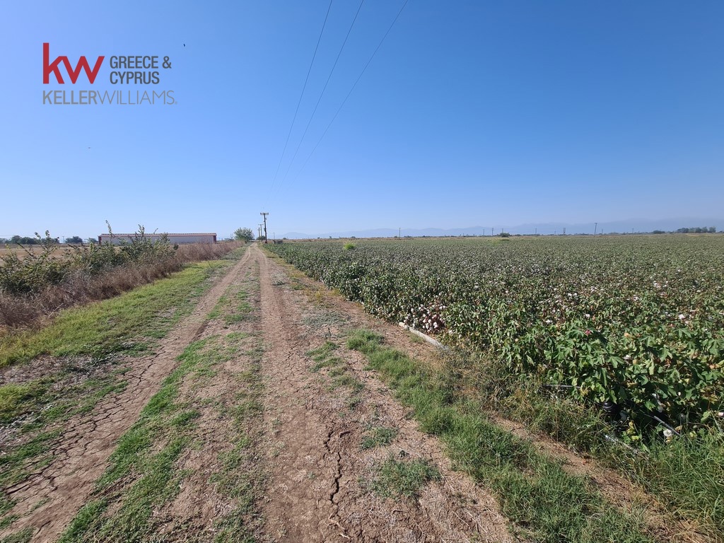 1828161 - Αγροτεμάχιο Προς Πώληση, Φύλλο, 17.400 τ.μ., €36.000