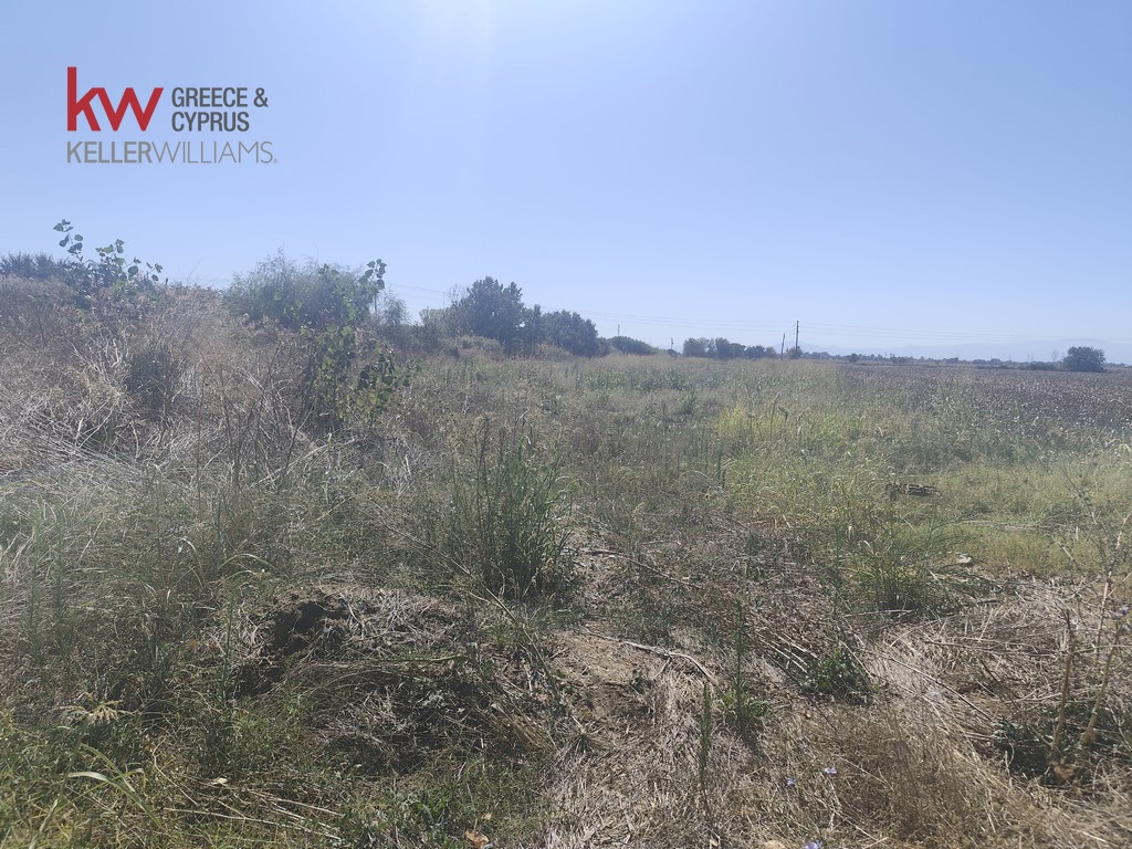 1847096 - Αγροτεμάχιο Προς Πώληση, Παλαμάς, 6.440 τ.μ., €13.500