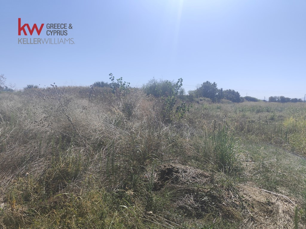 1847096 - Αγροτεμάχιο Προς Πώληση, Παλαμάς, 6.440 τ.μ., €13.500