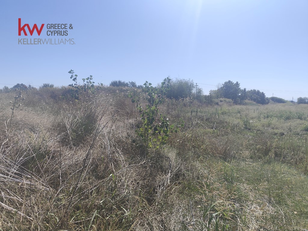1847096 - Αγροτεμάχιο Προς Πώληση, Παλαμάς, 6.440 τ.μ., €13.500