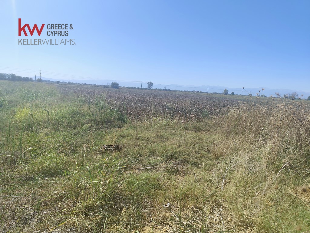 1847096 - Αγροτεμάχιο Προς Πώληση, Παλαμάς, 6.440 τ.μ., €13.500