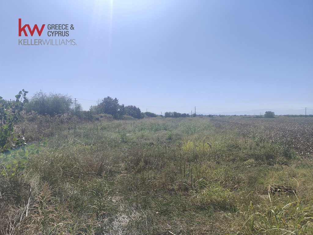 1847096 - Αγροτεμάχιο Προς Πώληση, Παλαμάς, 6.440 τ.μ., €13.500
