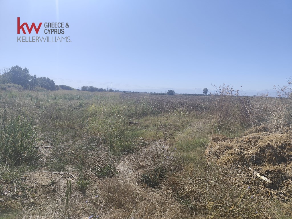 1847096 - Αγροτεμάχιο Προς Πώληση, Παλαμάς, 6.440 τ.μ., €13.500