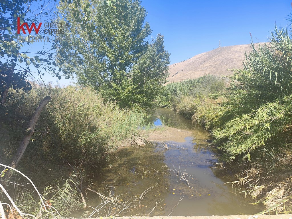 1847096 - Αγροτεμάχιο Προς Πώληση, Παλαμάς, 6.440 τ.μ., €13.500